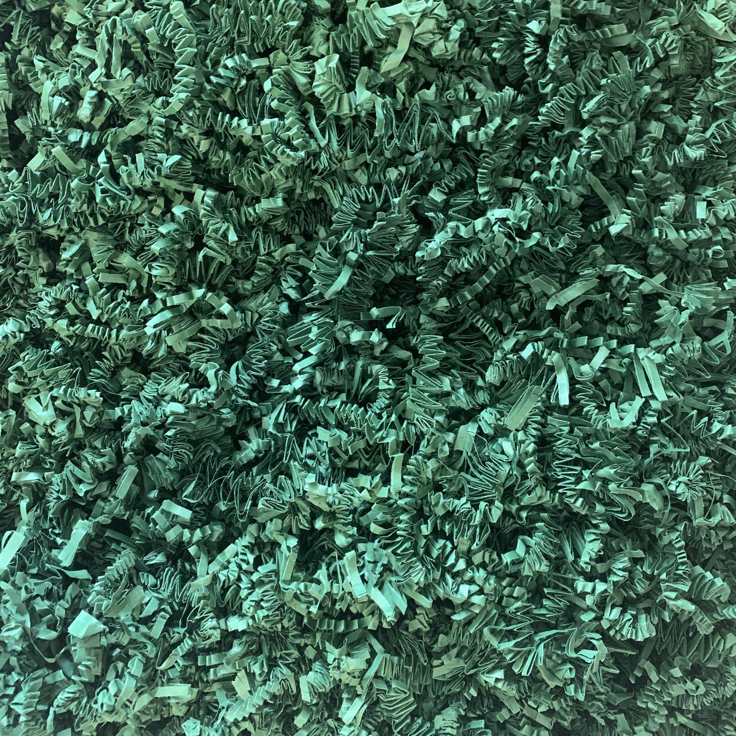 1kg